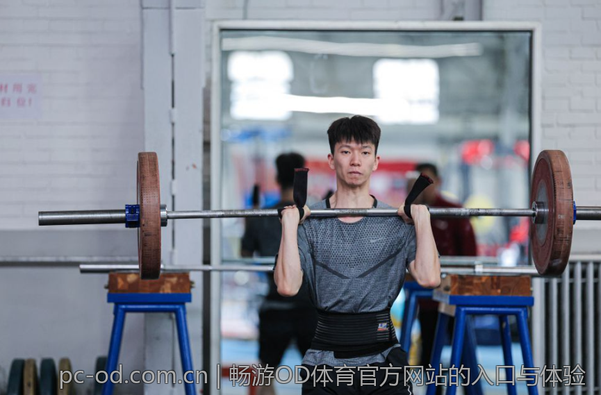 畅游OD体育官方网站的入口与体验