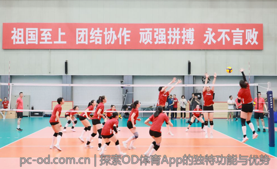 探索OD体育App的独特功能与优势